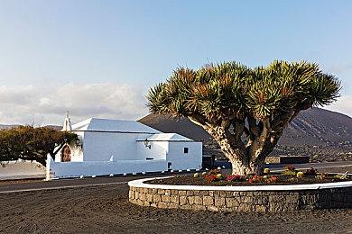 《方舟生存飞升》无畏龙生物图谱公开，泰坦BOSS将遭遇劲敌