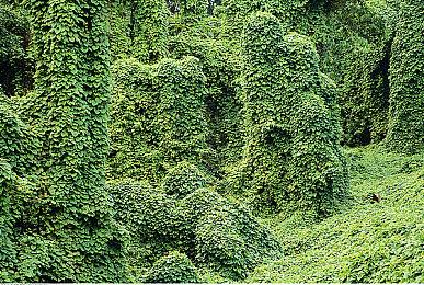 传闻：顽皮狗有四款游戏正在开发